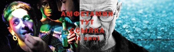 винт Инсар