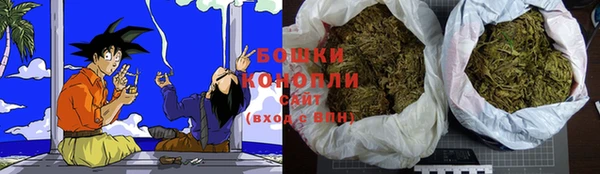 трава Инта