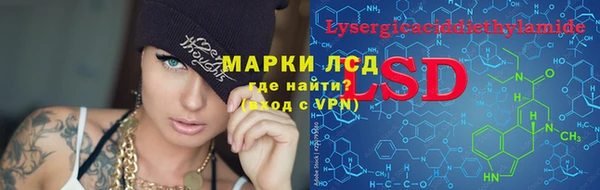 винт Инсар