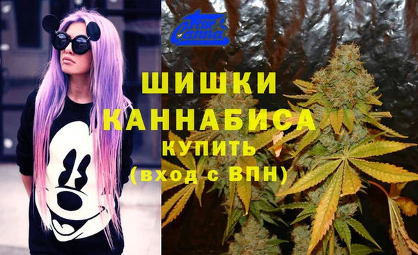 трава Инта
