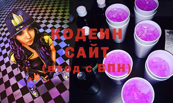 трава Инта