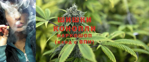 винт Инсар